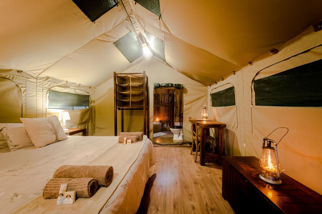Bundox Safari