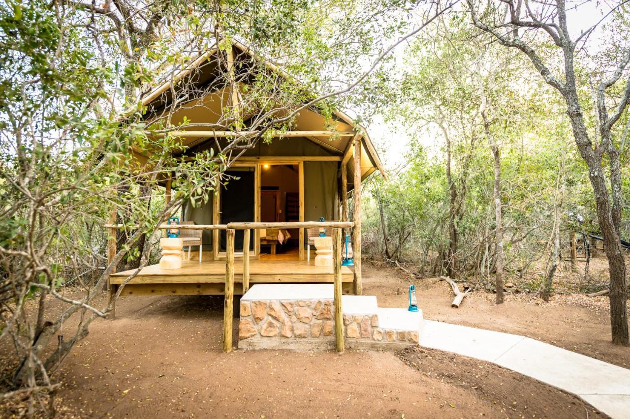 Lodge Bundox Safari Hoedspruit